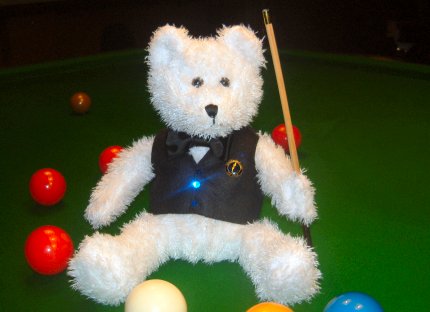 Snooky - The Snooker Player Bear